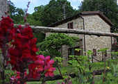 esterno-giardino-02