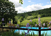 esterno-giardino-piscina-02