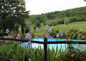 esterno-giardino-piscina-03