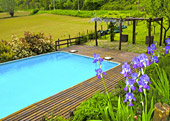 esterno-giardino-piscina-05